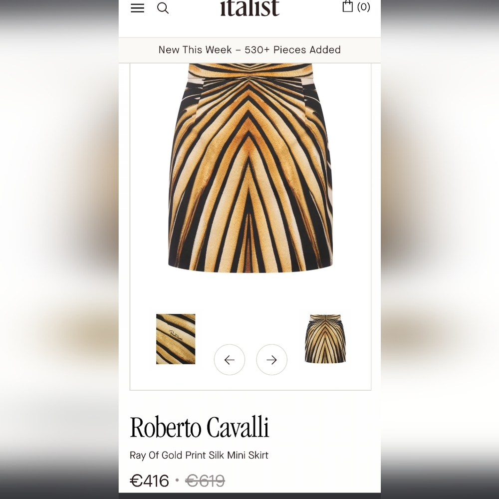 Roberto Cavalli Mini Skirt